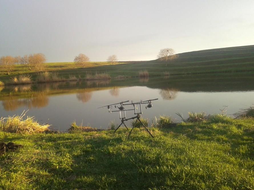 Diverse - 2012-04-20-193618.jpg